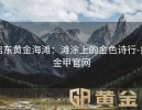 启东黄金海滩：滩涂上的金色诗行-黄金甲官网
