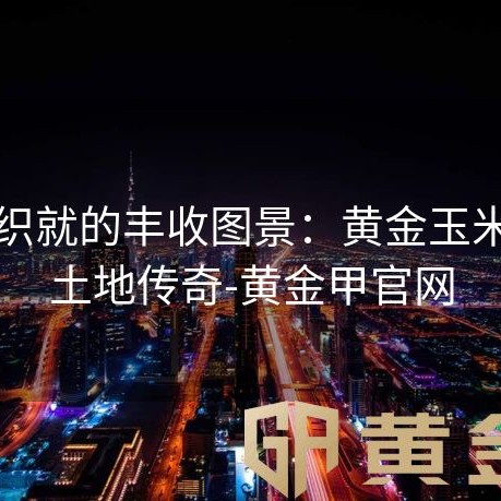 金穗织就的丰收图景：黄金玉米带的土地传奇-黄金甲官网