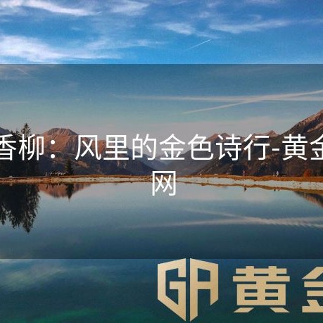 黄金香柳：风里的金色诗行-黄金甲官网
