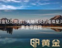 黄金钻花岗岩：大地深处的璀璨星河-黄金甲官网