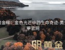 黄金柳：金色光芒中的生命奇迹-黄金甲官网