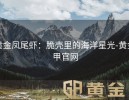 黄金凤尾虾：脆壳里的海洋星光-黄金甲官网