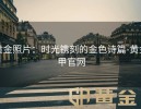 黄金照片：时光镌刻的金色诗篇-黄金甲官网
