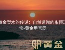 黄金梨木的传说：自然馈赠的永恒瑰宝-黄金甲官网