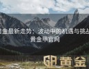 黄金最新走势：波动中的机遇与挑战-黄金甲官网