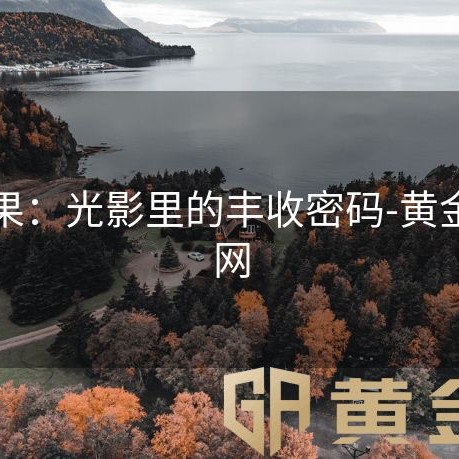 黄金果：光影里的丰收密码-黄金甲官网