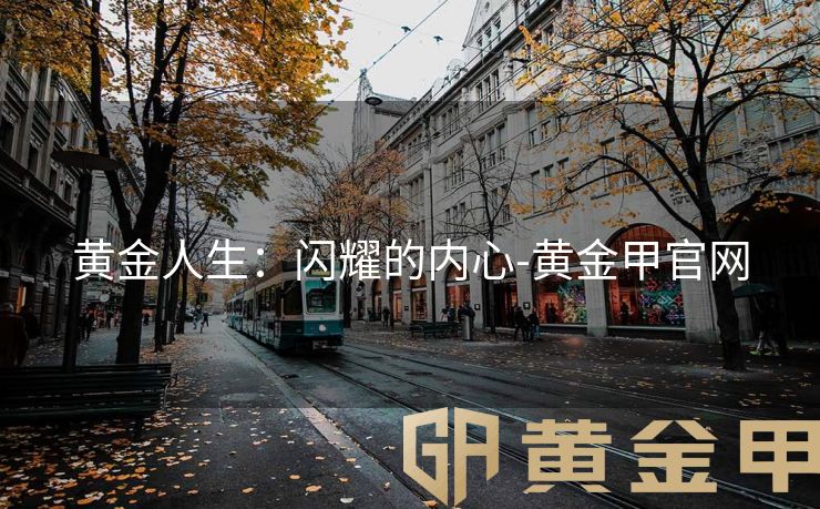 黄金人生：闪耀的内心-黄金甲官网