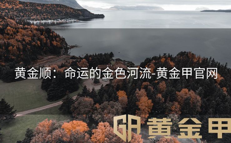 黄金顺：命运的金色河流-黄金甲官网