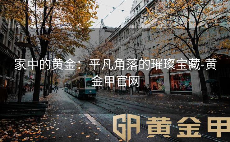 家中的黄金：平凡角落的璀璨宝藏-黄金甲官网